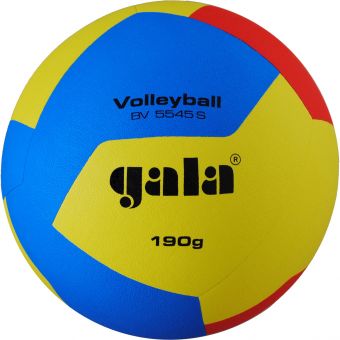 Мяч волейбольный Gala Training BV5545SB