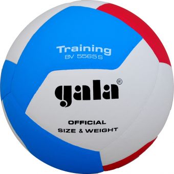 М'яч волейбольний Gala Training BV5565S