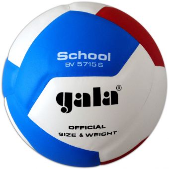 Мяч волейбольный Gala School BV5715SB