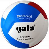 Мяч волейбольный Gala School BV5715SB - купить в Киеве и Украине